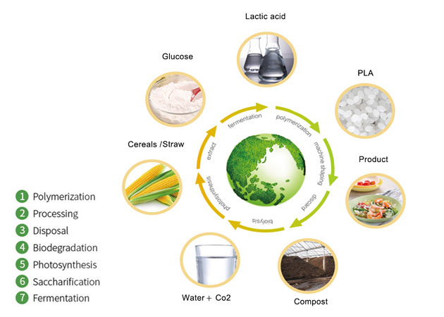 Vật liệu đóng gói thực phẩm phân hủy sinh học - Hạt nhựa PLA đã trở thành con cưng mới của ngành bao bì thực phẩm
